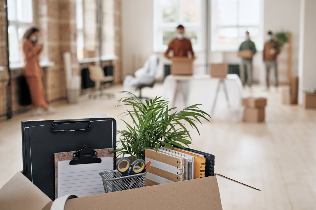 Büromaterial und Pflanzen in Umzugskartons – Büroumzug mit Movatrans